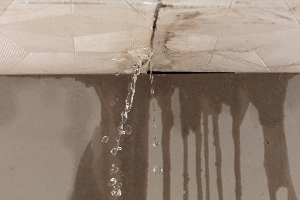 Professional Sewage Cleanup technician working in Elmwood Park, NJ